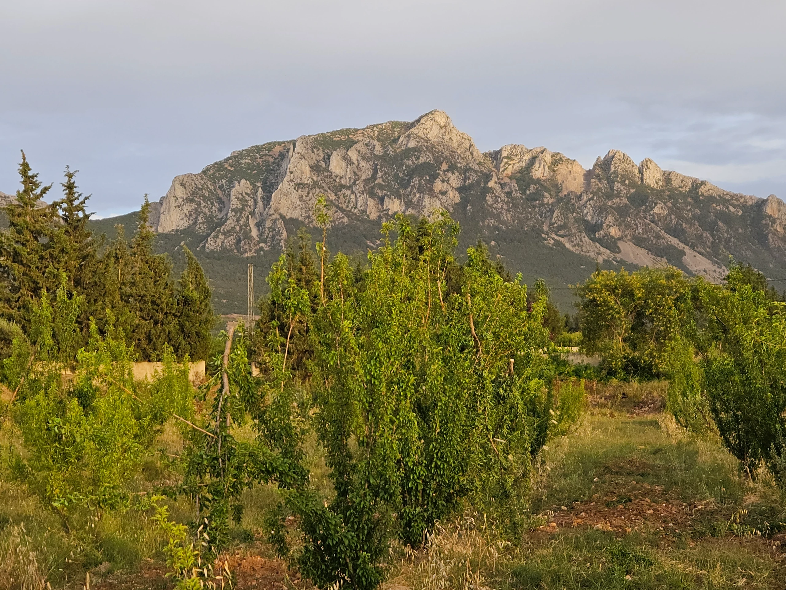Un terrain a vendre