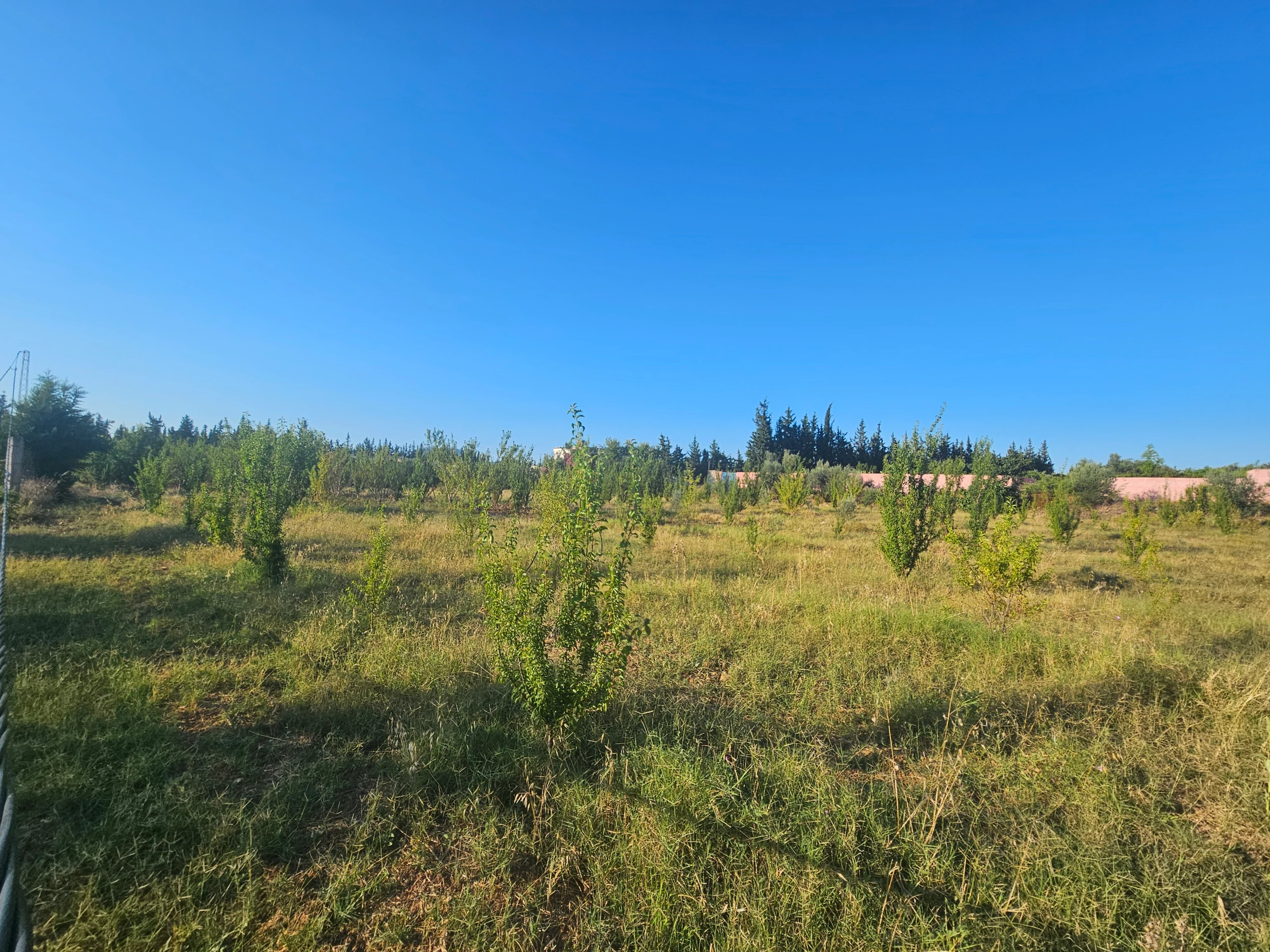 Un terrain a vendre