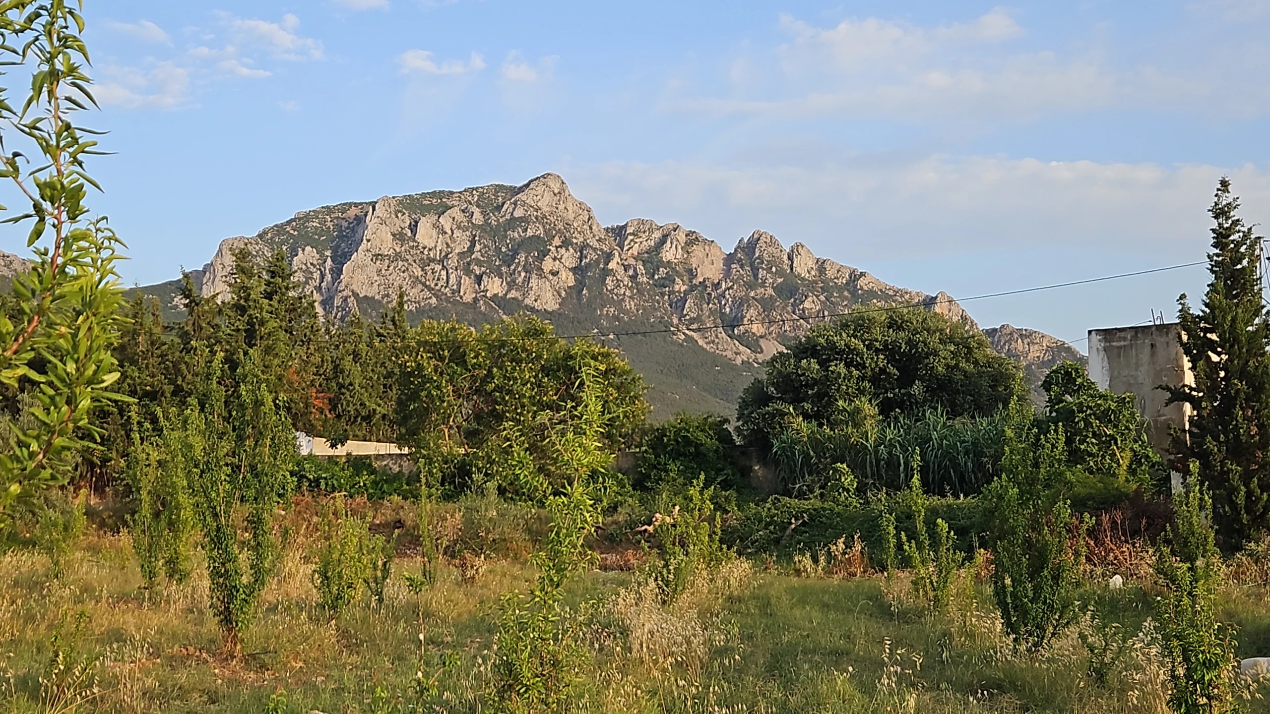 Un terrain a vendre