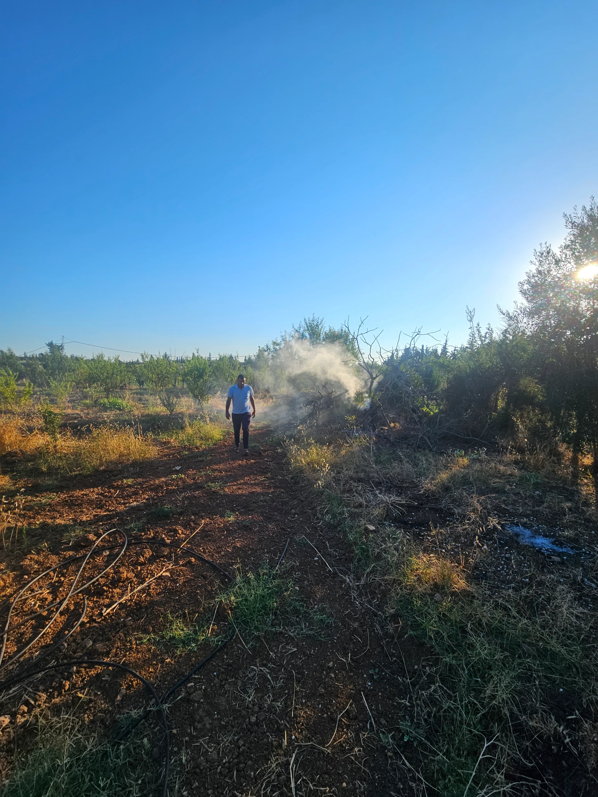 Un terrain a vendre